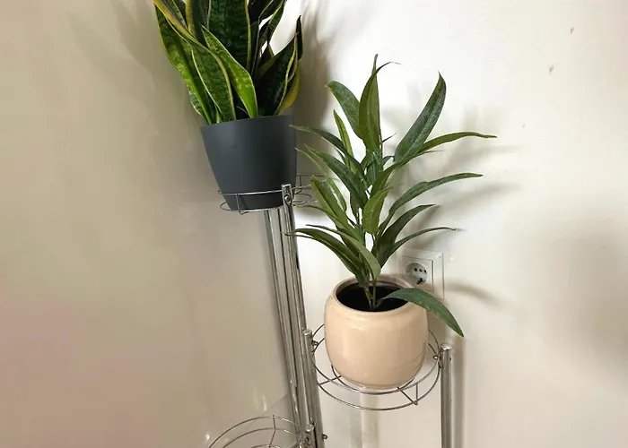 Spacious 3bdr App In Center 